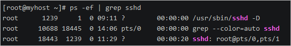 Linux 指令入门-系统工作命令和状态检测命令