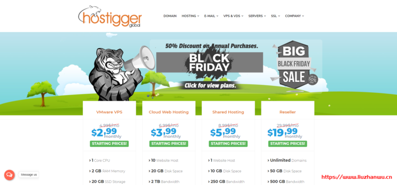 hostigger-799x373-2