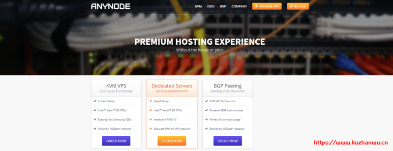 anynode：拉斯维加斯 VPS 促销$15/年 _1 核心 2G 内存/30G SSD/3T 流量