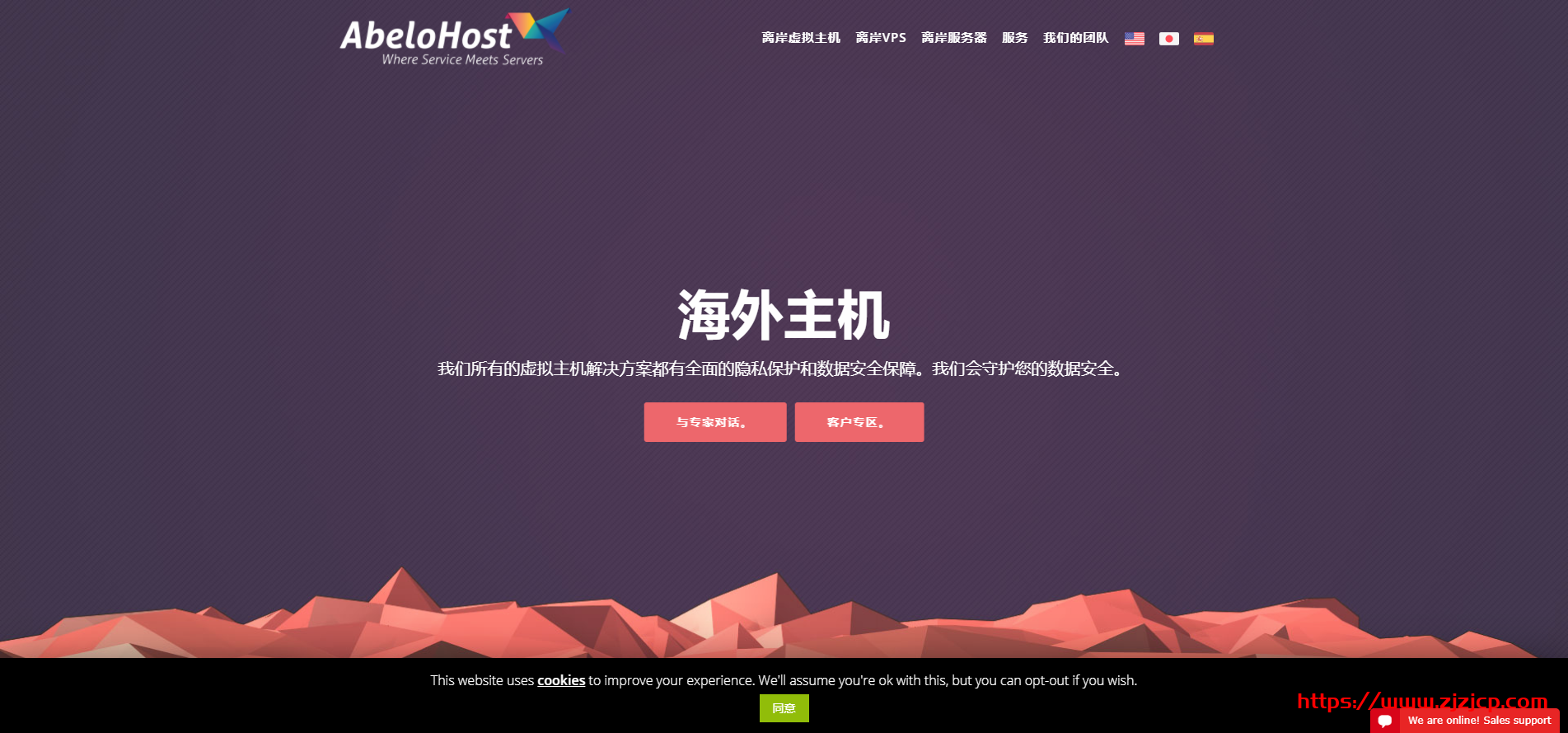 abelohost：荷兰 windows vps，抗投诉，40G 防御，不限流量随便跑
