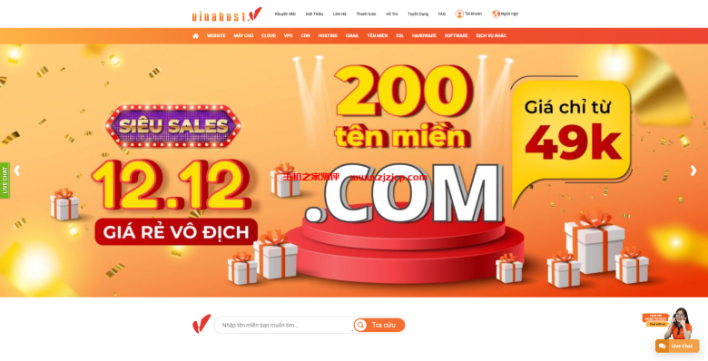 vinahost：越南胡志明 VNPT，便宜越南 VPS，免费的 DirectAdmin，100Mbps 不限流量，月付 35 元起