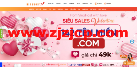 VinaHost：便宜越南 VPS，免费的 DirectAdmin，越南抗投诉 VPS 八折，4.6 美元/月起