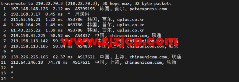 raksmart：韩国首尔机房独立服务器，精品网 10M 线路，机器性能/流媒体/线路等测评数据分享