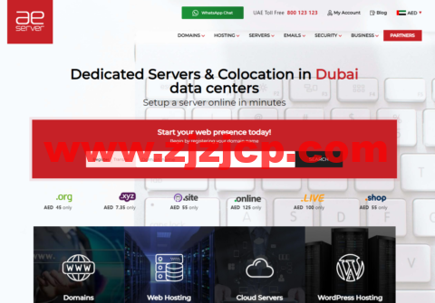 AEserver：迪拜 VPS，1 核/1G 内存/30G SSD 硬盘/不限流量/5M 带宽，$27.00/月起，支持 IPv6，迪拜独立服务器$160.00/月起
