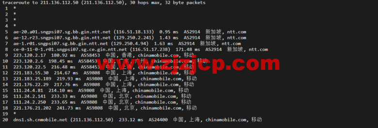 Vultr：新加坡机房云服务器测评 2022：下载速度、速度延迟、路由丢包、性能测评、流媒体解锁等