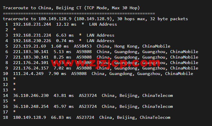 10gbiz：香港 VPS 云服务器（GIA+VIP）线路，简单测评