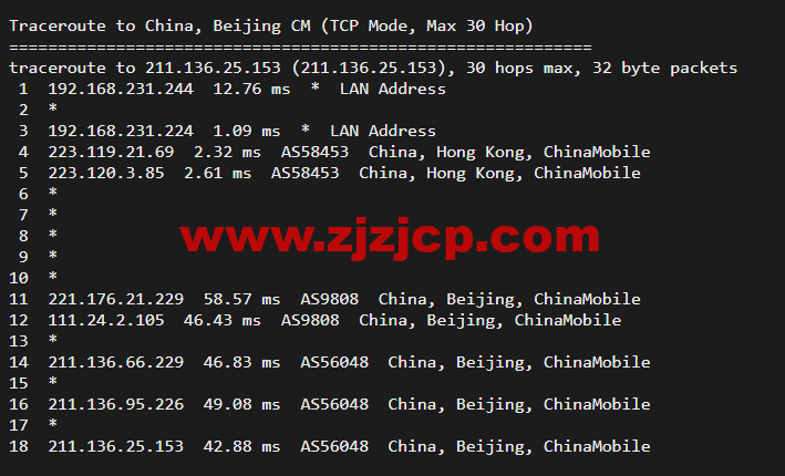 10gbiz：香港 VPS 云服务器（GIA+VIP）线路，简单测评