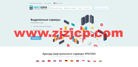 ProfitServer：荷兰 VPS，阿姆斯特丹机房五折，1 核/1G 内存/10G SSD 硬盘/不限流量/100M 带宽，月付 2.88 美元起
