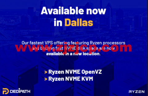 #上新#DediPath：美国便宜 vps，达拉斯机房，AMD Ryzen VPS，1 核/512M 内存/10G NVME 硬盘/1TB 流量/1Gbps 带宽，.00/年