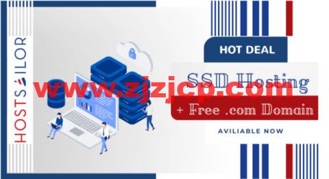 HostSailor：荷兰 SSD 硬盘托管主机，1Gbps 带宽，$23.99/年，送免费域名