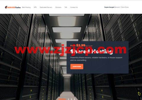 ServerTurbo：拉脱维亚 vps，1 核/1G 内存/30GB 硬盘/不限流量/1Gbps 带宽，$9.95/月起，支持 Windows
