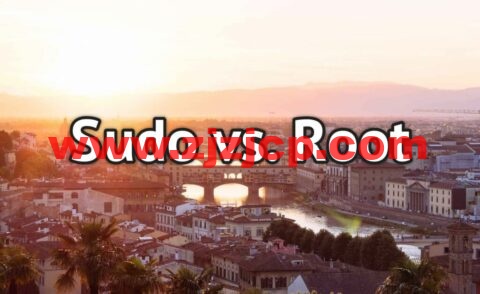 Linux 系统：Sudo 和 Root 有什么区别？为什么使用 Sudo 而不是以 Root 身份登录？