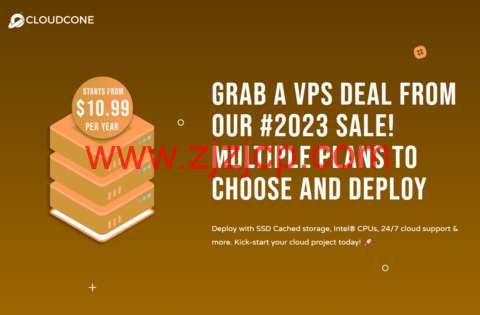 #新春优惠#CloudCone：美国便宜 VPS，1Gbps 带宽/免费自动快照/自动备份/防火墙托管，年付$10.99 起
