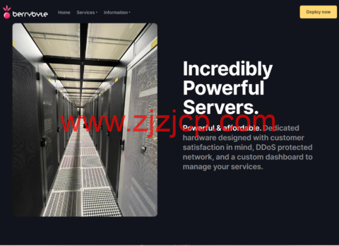 BerryByte：美国和欧洲 vps，1 核独享/2GB 内存/25GB NVMe/10TB 流量/10Gbps 带宽，$8/月，可选达拉斯/荷兰/英国机房