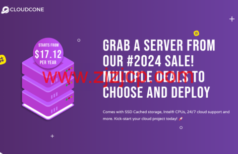 CloudCone：美国洛杉矶便宜 VPS，2 核/1G/55GB SSD/2T 月流量/1Gbps 带宽，$17.12/年